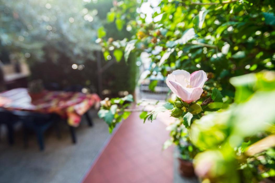 Hotel Murgo'S Salvaterra Zewnętrze zdjęcie